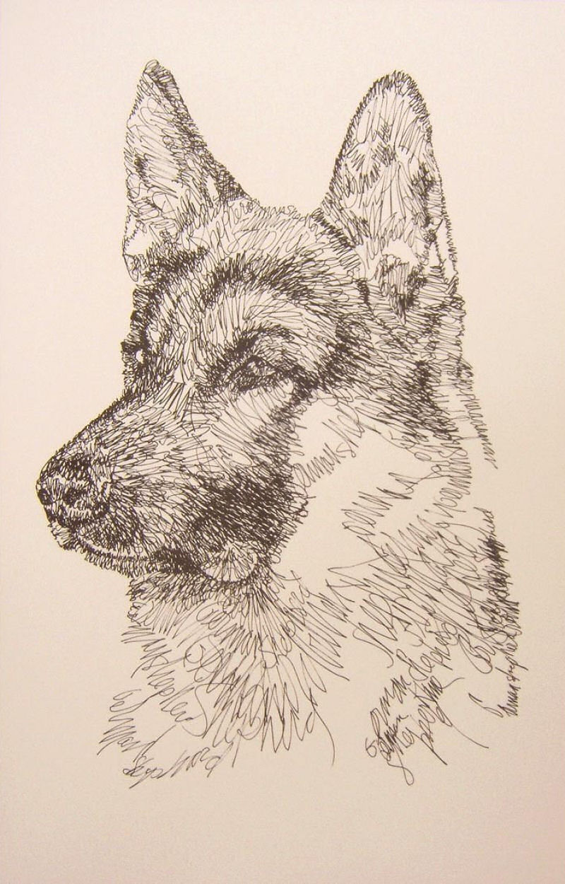 Artista escreve retratos detalhadas de cães 01