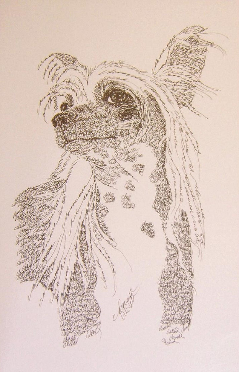 Artista escreve retratos detalhadas de cães 05