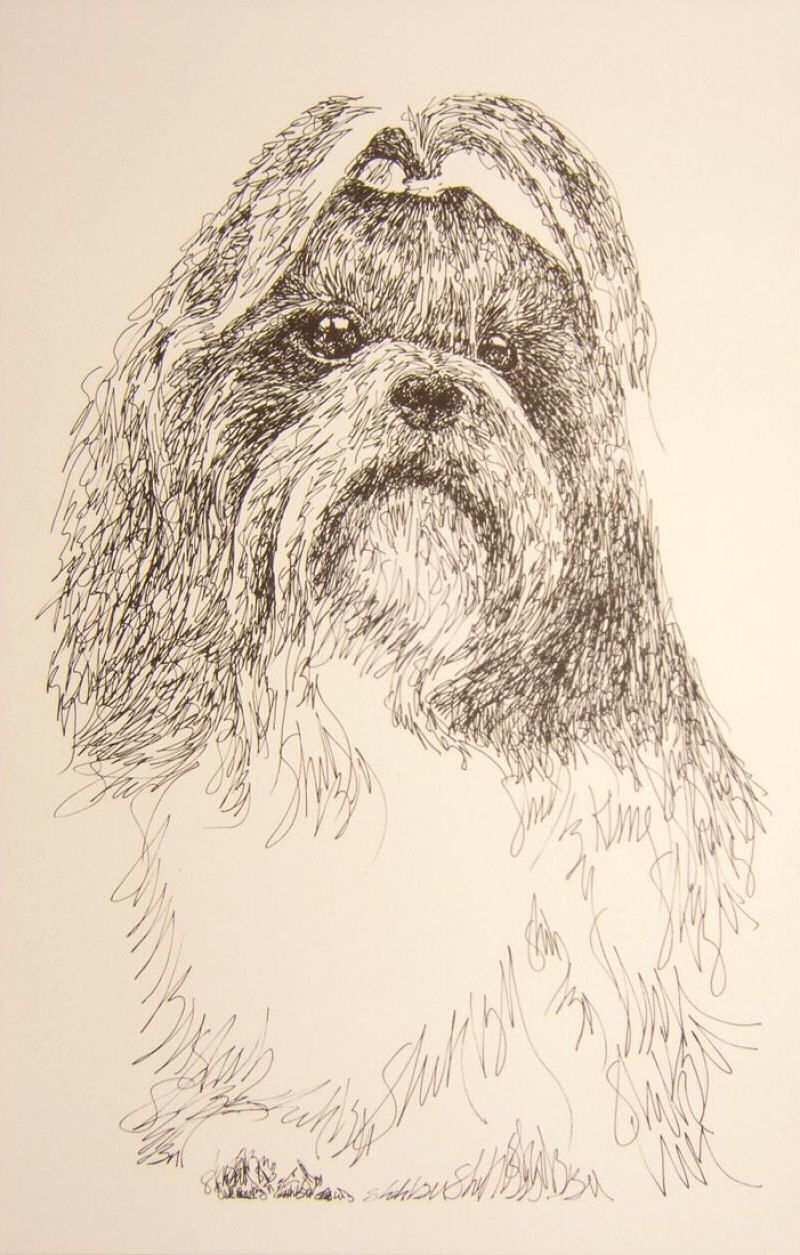 Artista escreve retratos detalhadas de cães 06