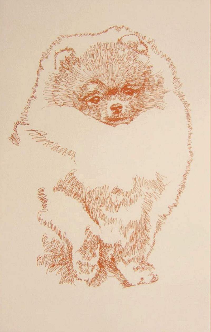 Artista escreve retratos detalhadas de cães 07