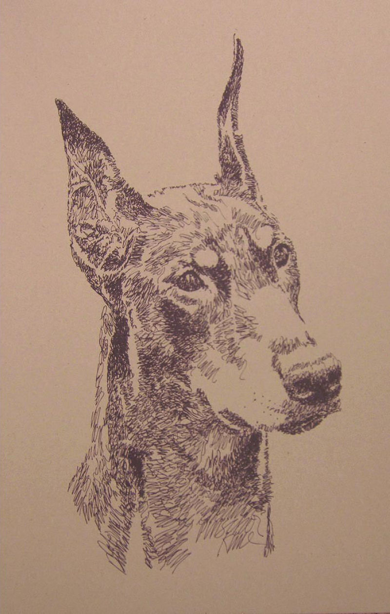 Artista escreve retratos detalhadas de cães 09