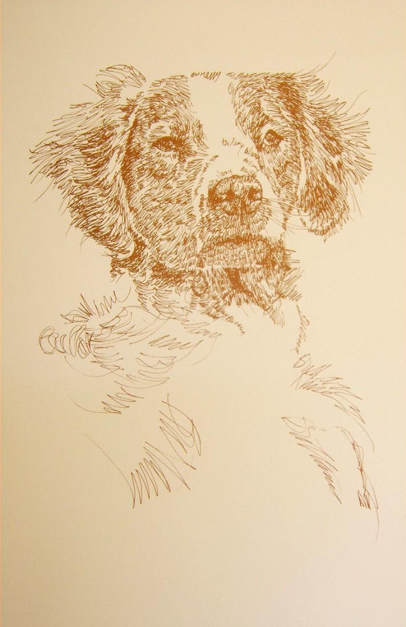 Artista escreve retratos detalhadas de cães 11