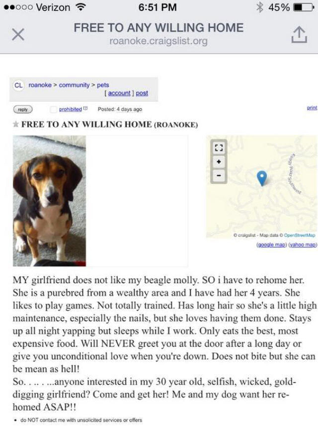 Sua namorada exigiu que ele se livrasse de sua cadela, então ele postou este anúncio nos classificados