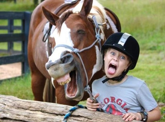 As fotos mais engraçadas de animais em 2012 26