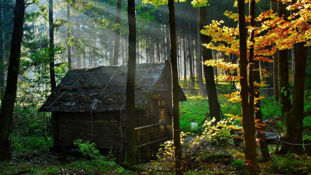 As mais belas casas na floresta 04