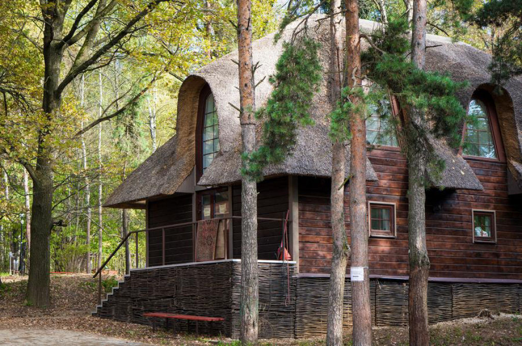 As mais belas casas na floresta 14
