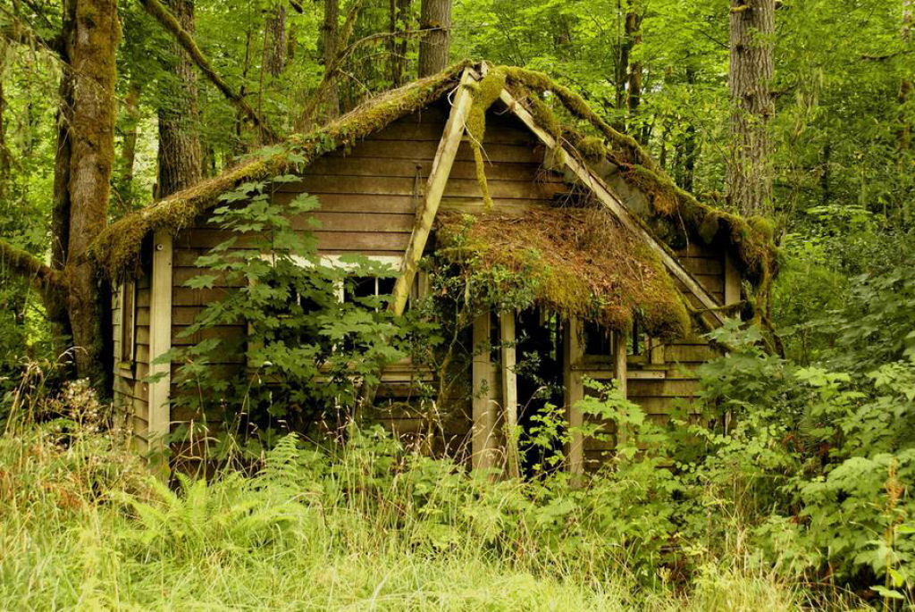 As mais belas casas na floresta 15