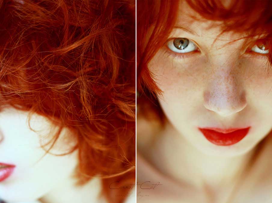 A beleza das sardentas