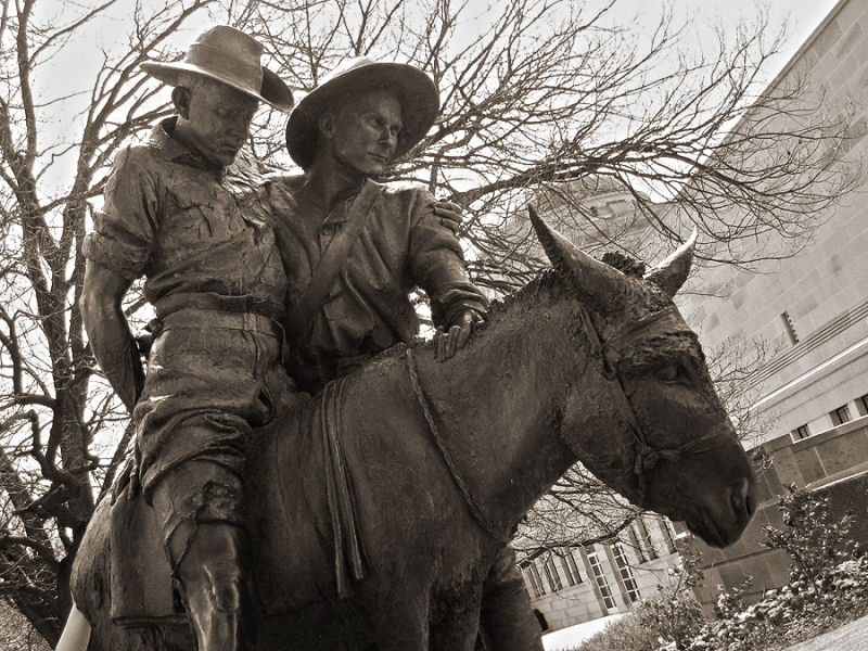 Um jovem e seu burro, heróis da Primeira Guerra