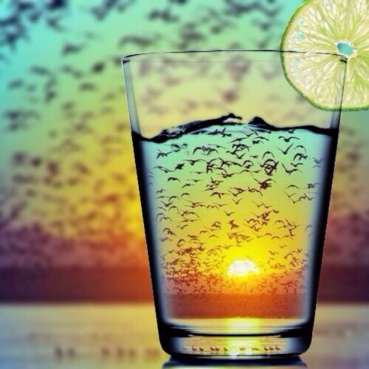 Pássaros e pôr do sol através de um copo.
