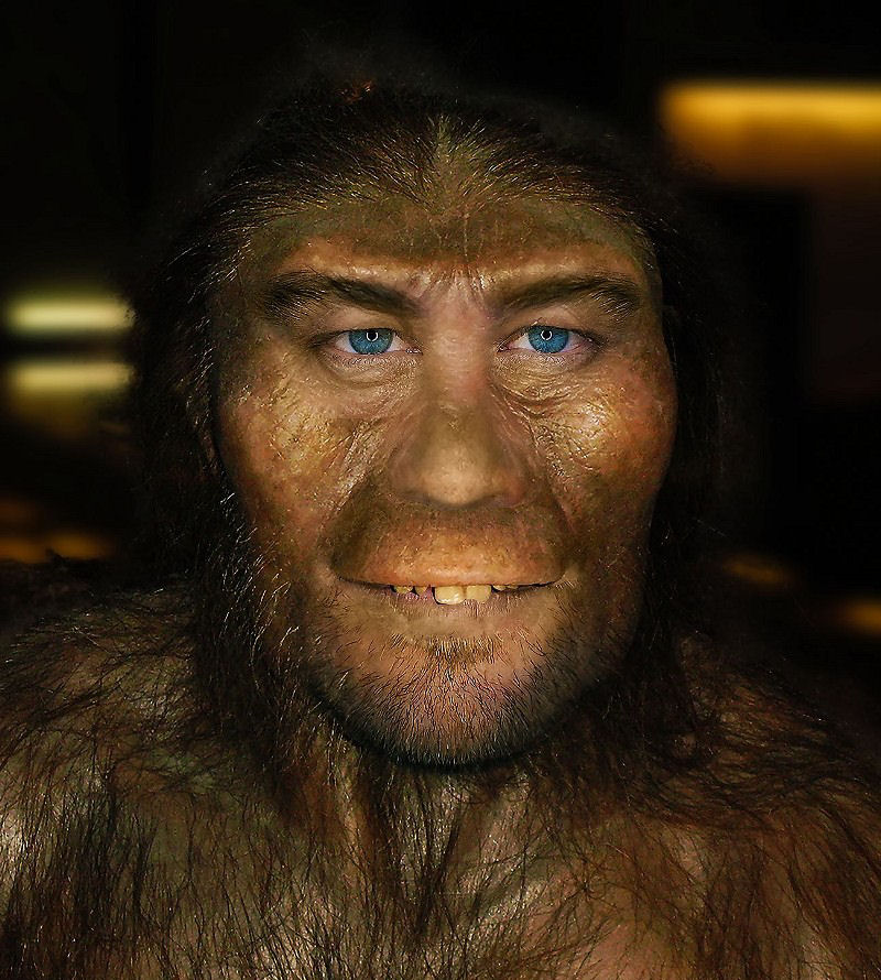 Leonardo Neandertal DiCaprio.