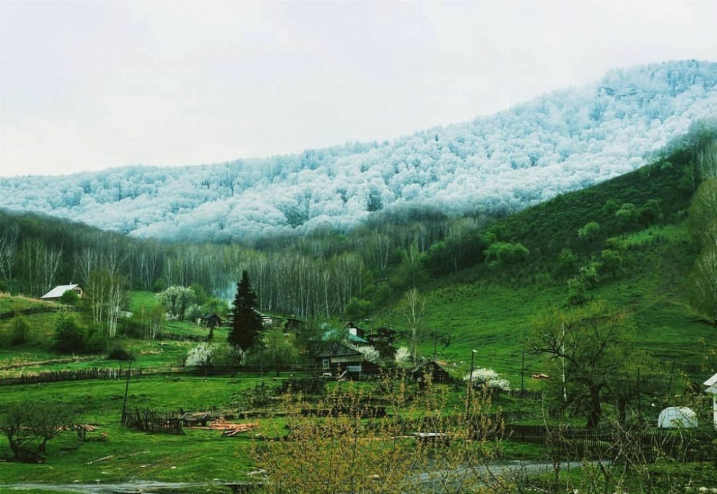 É assim que a neve cai em Altai.