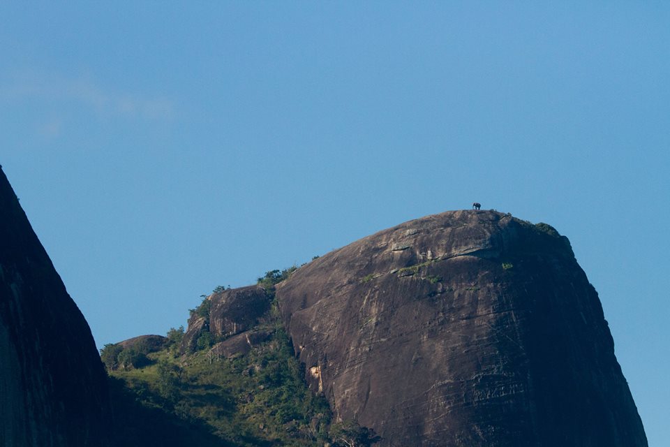 Um elefante no topo de uma montanha.