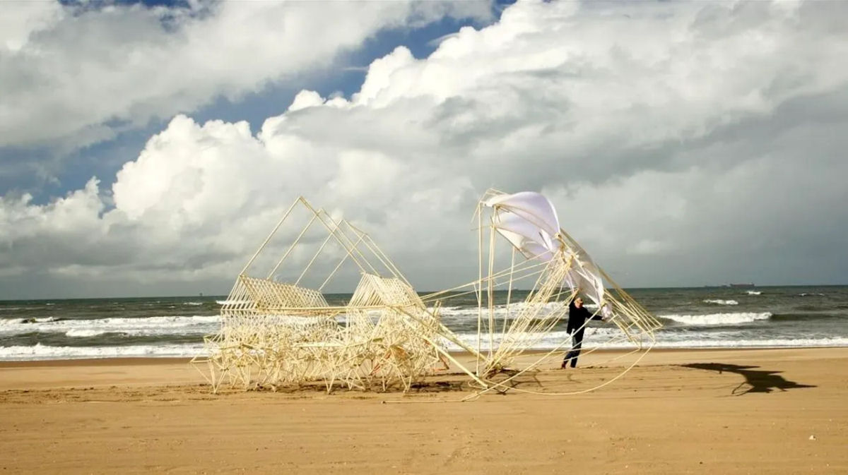 Animaris Tenere, um rebanho de quatro criaturas que se seguram firmemente umas s outras em uma praia ventosa