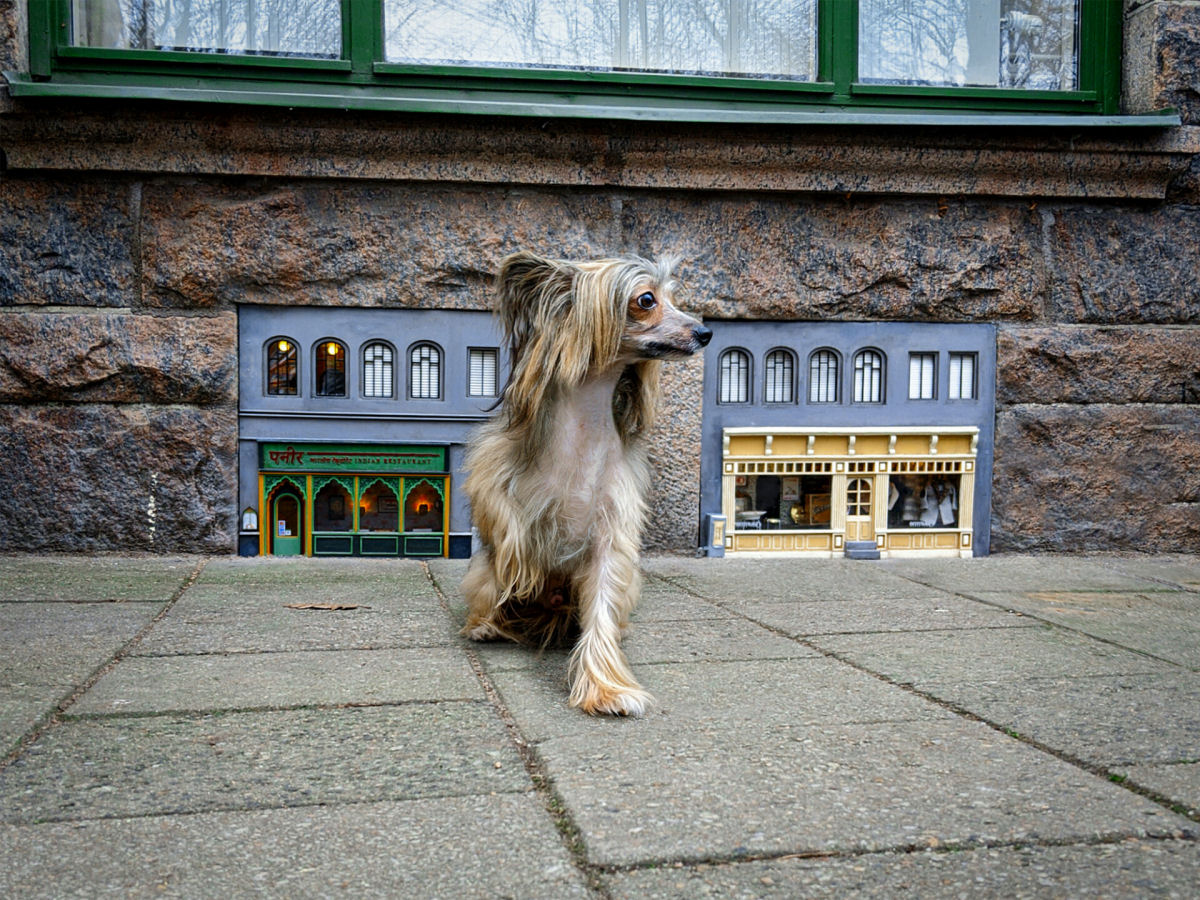 Há anos alguém vem decorando as cidades suecas com diminutas lojas para ratos 09