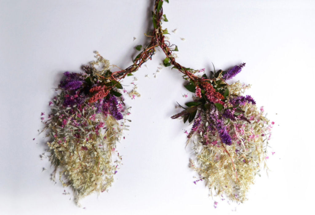 Órgãos humanos feitos de flores e plantas por Camila Carlow 01