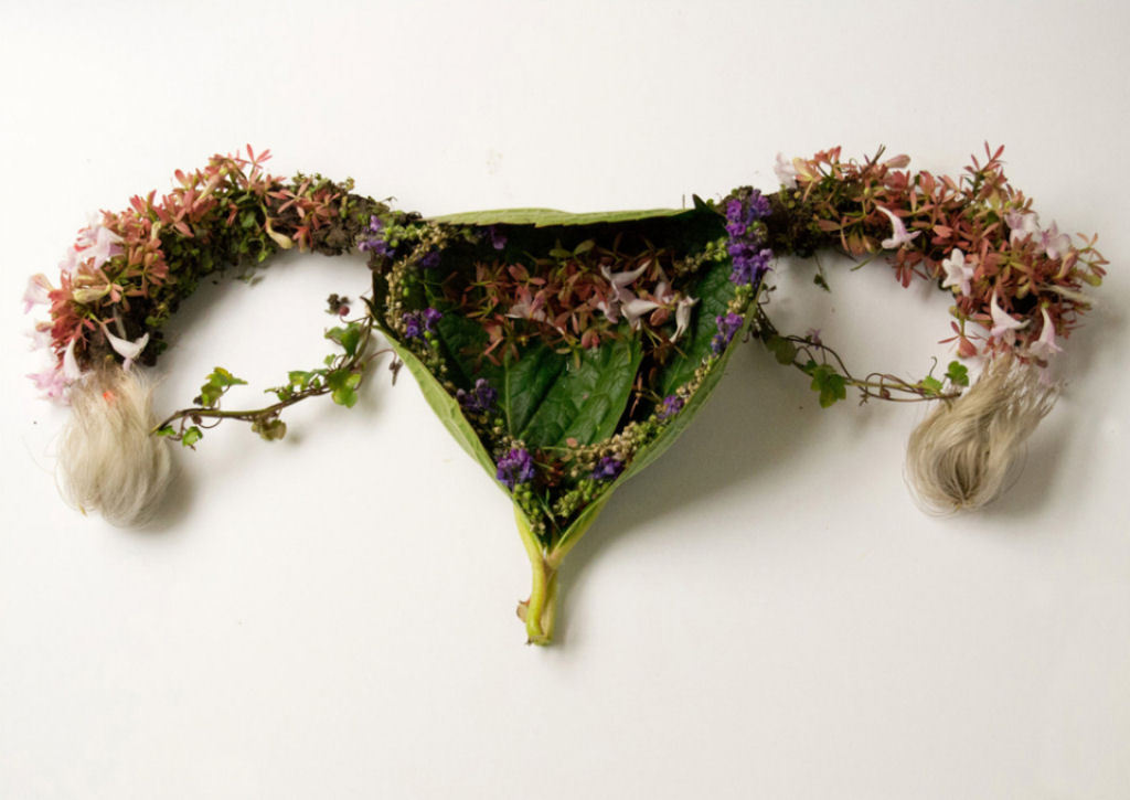 Órgãos humanos feitos de flores e plantas por Camila Carlow 04