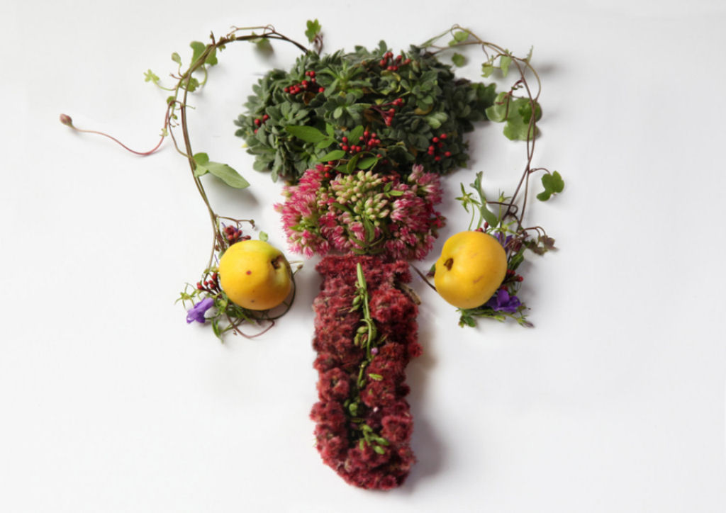 Órgãos humanos feitos de flores e plantas por Camila Carlow 05