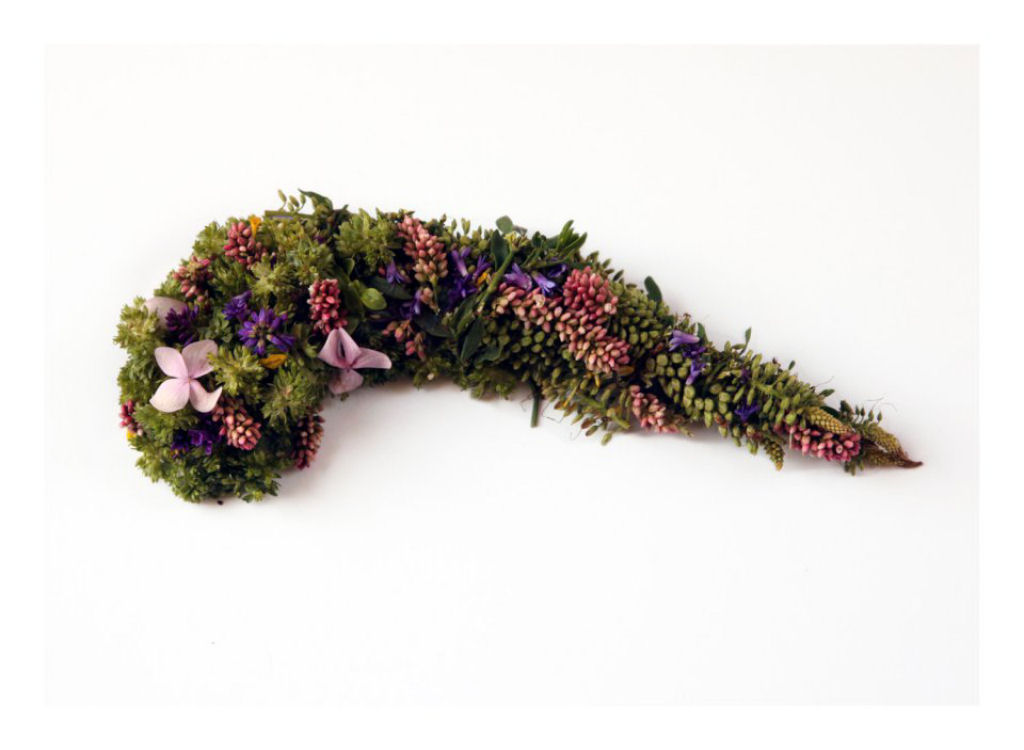 Órgãos humanos feitos de flores e plantas por Camila Carlow 08