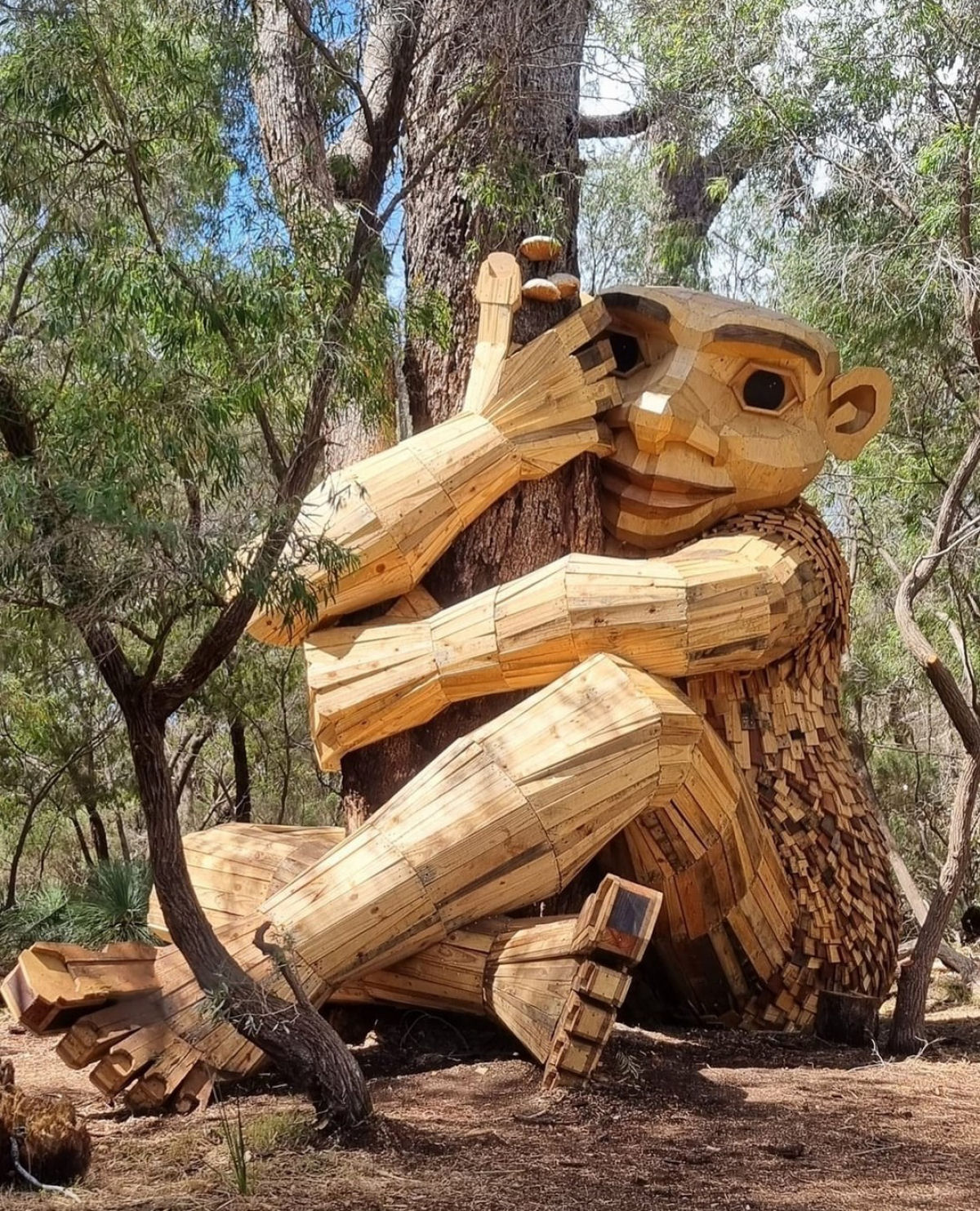 Artista esconde grandes esculturas de trolls de madeira na Austrlia para que todos possam encontrar 03