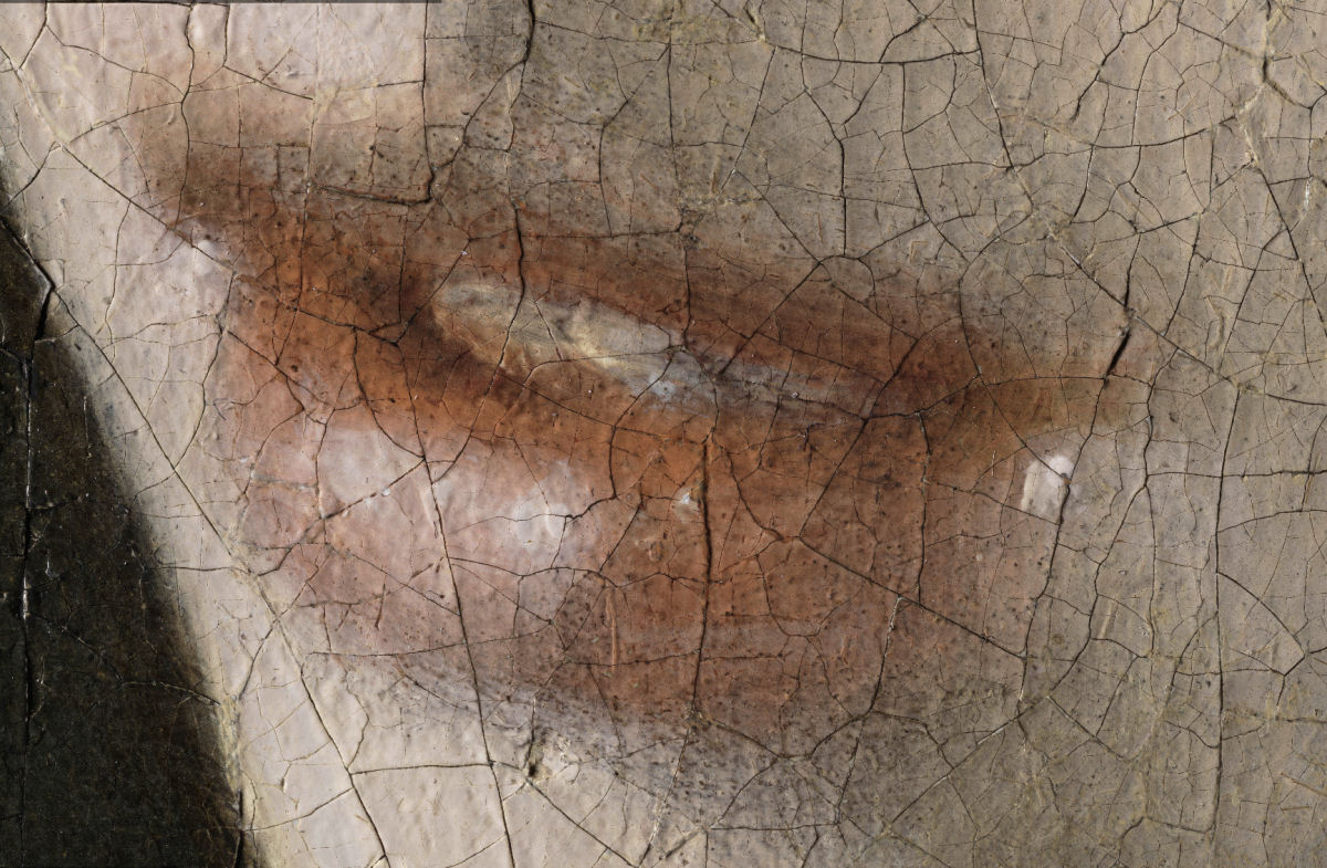 O quadro 'Moça com o Brinco de Pérola' foi escaneado em uma imagem de 10 bilhões de pixels