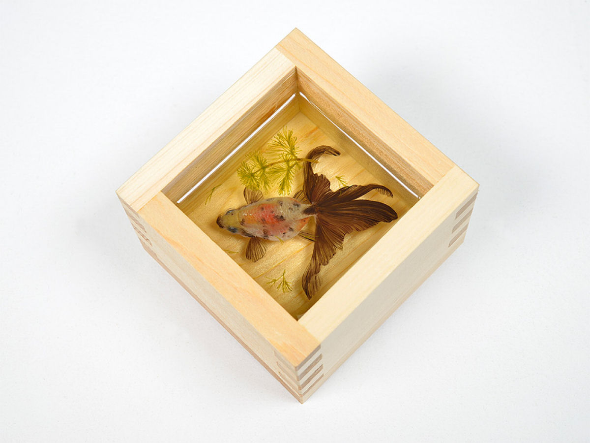 Os peixinhos realistas pintados em acrlico entre camadas de resina de Riusuke Fukahori 10