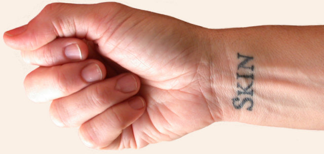 Uma histria tatuada em 2.095 pessoas