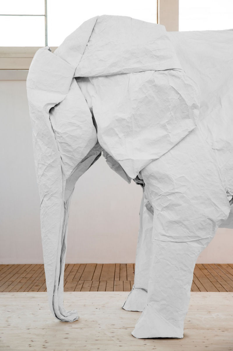 Artista do origami cria um elefante em tamanho real com uma folha de papel 05