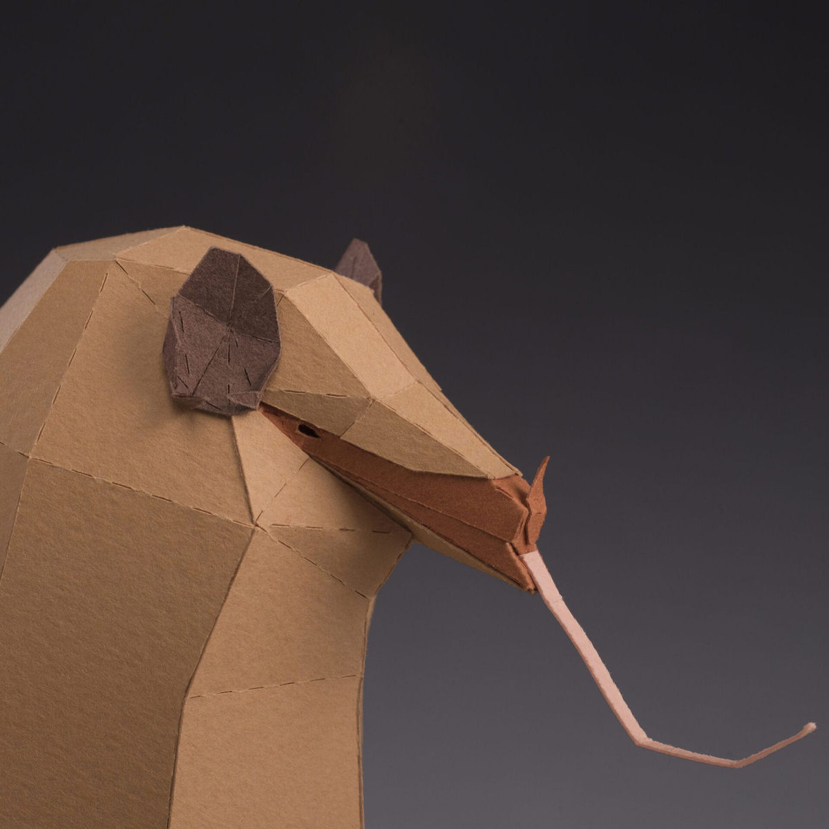 Meticulosas esculturas de papel celebram diversas espcies de morcegos em 'Pequenos amigos das trevas' 05
