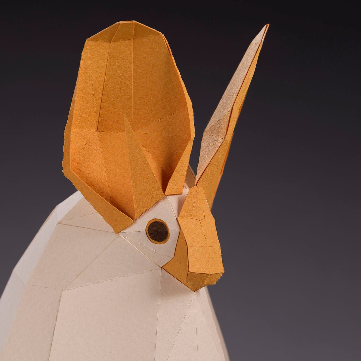 Meticulosas esculturas de papel celebram diversas espcies de morcegos em 'Pequenos amigos das trevas' 11