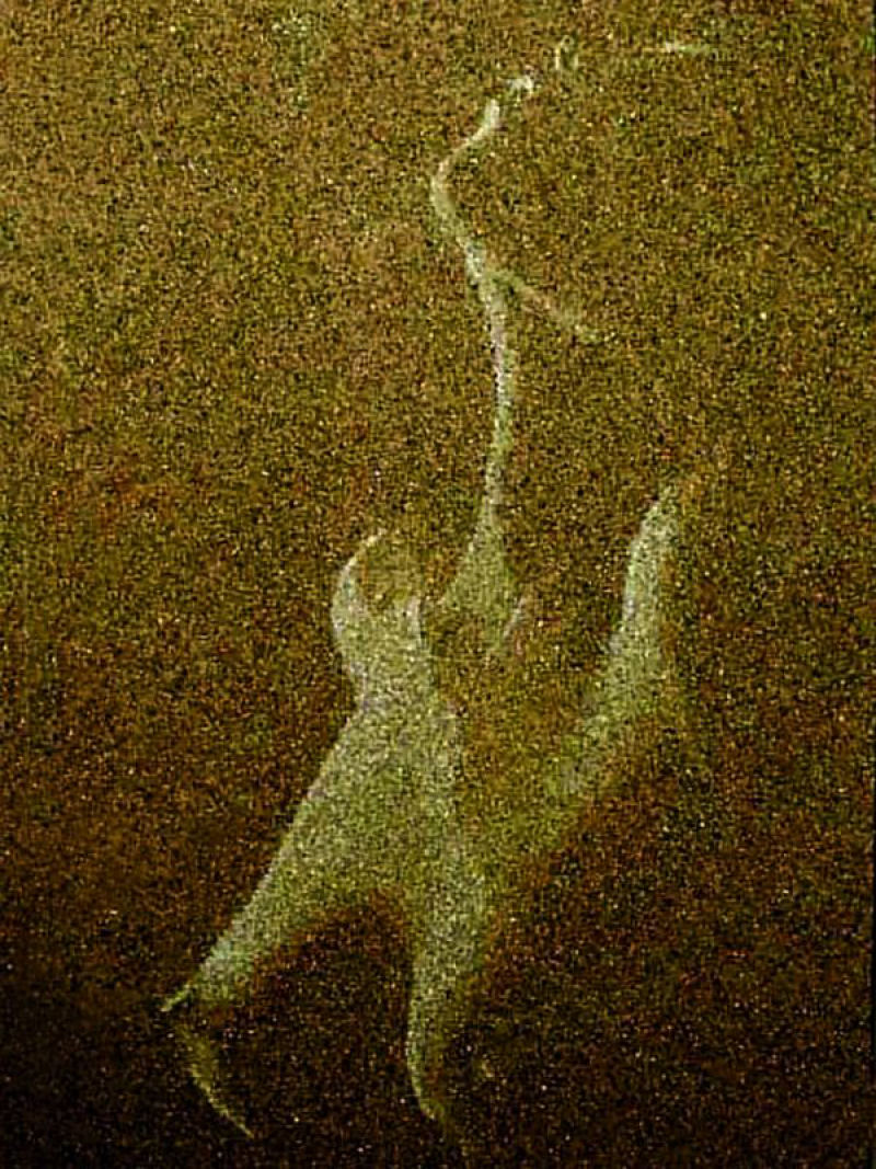 Artista ucraniana cria obras incrivelmente detalhadas com areia, seixo e conchas 06