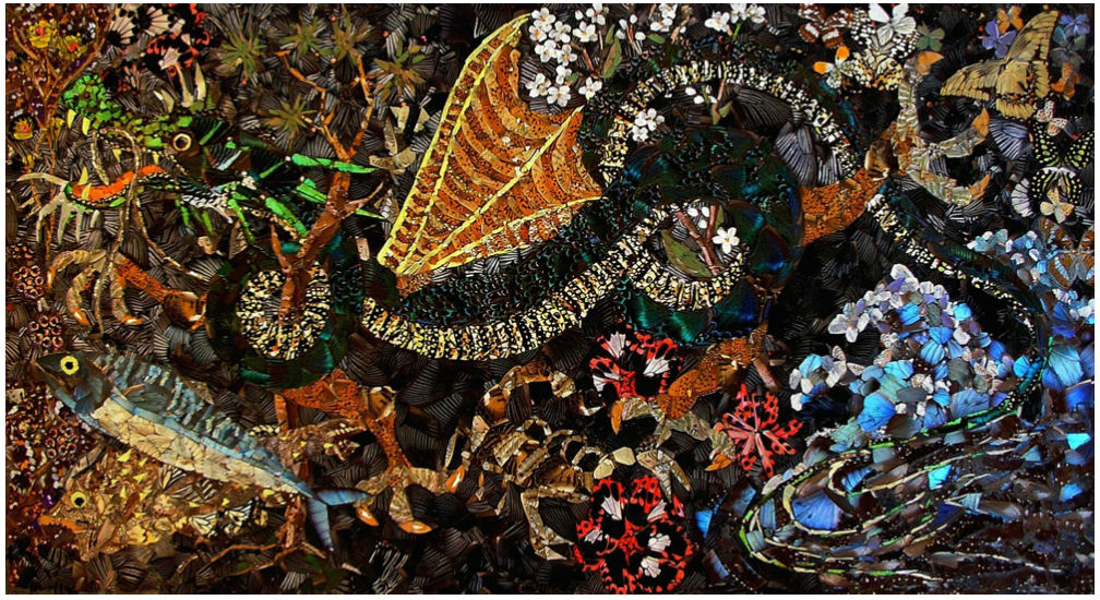 Pinturas feitas com asas de borboletas mortas 10