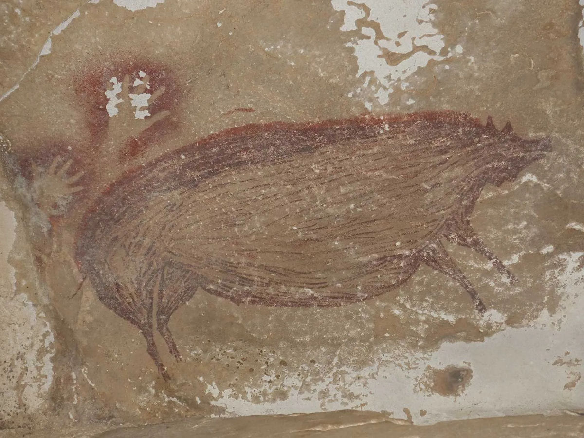 A arte rupestre mais antiga retrata babirussas h 45.500 anos