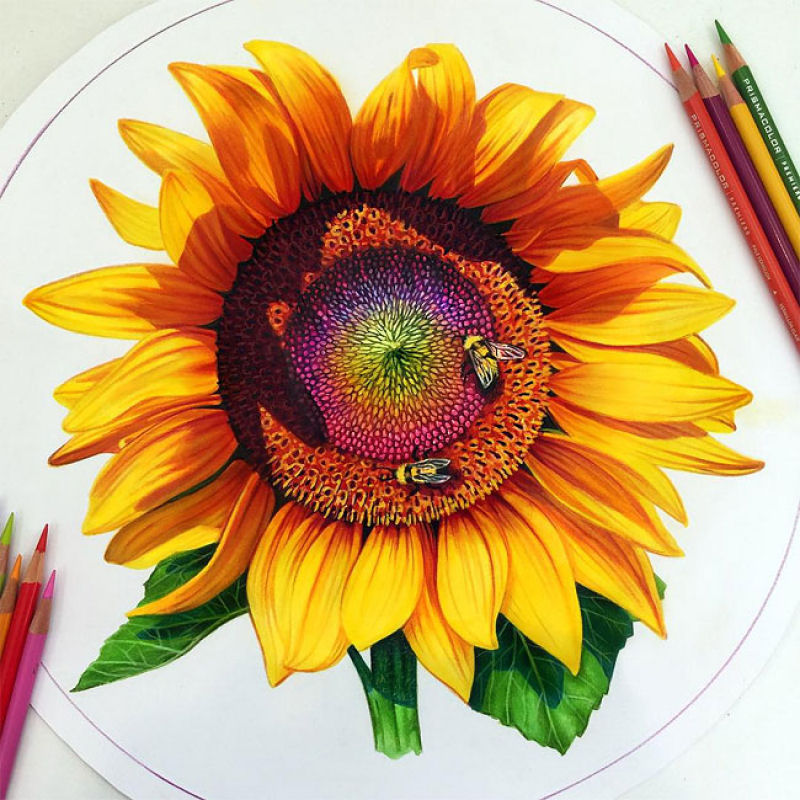 Esta artista cria desenhos com lpis de cor incrivelmente vibrantes 04