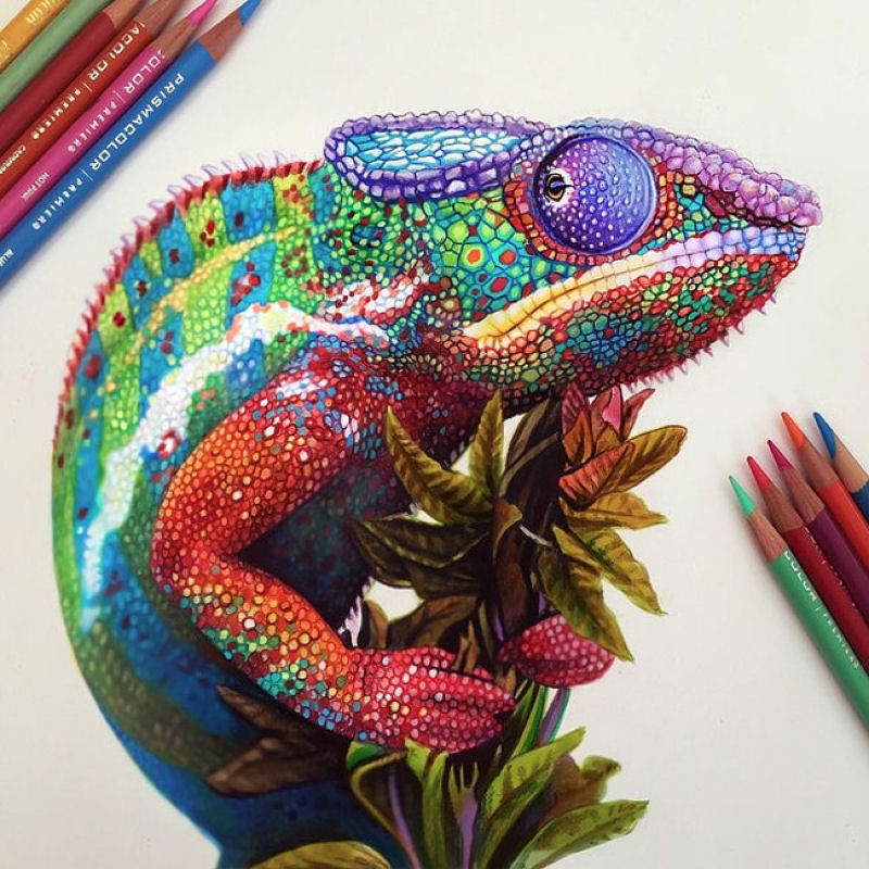 Esta artista cria desenhos com lápis de cor incrivelmente vibrantes - MDig