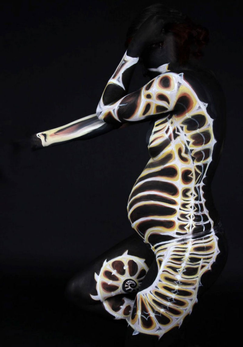 Alguns exemplos extraordinrios de arte corporal animal 22
