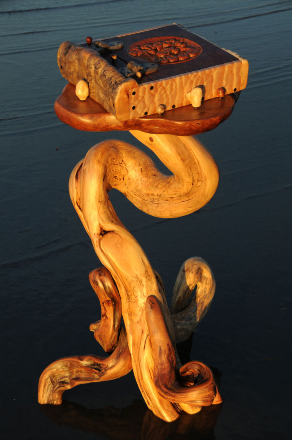 A arte com detritos de troncos de madeira de Jeffro Uitto 08