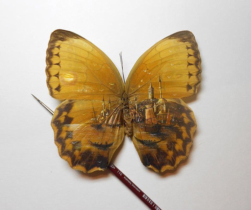 Talentoso artista pinta nas asas da borboleta 01