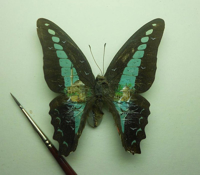 Talentoso artista pinta nas asas da borboleta 05