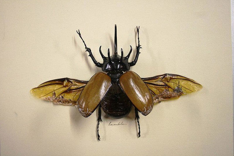 Talentoso artista pinta nas asas da borboleta 06