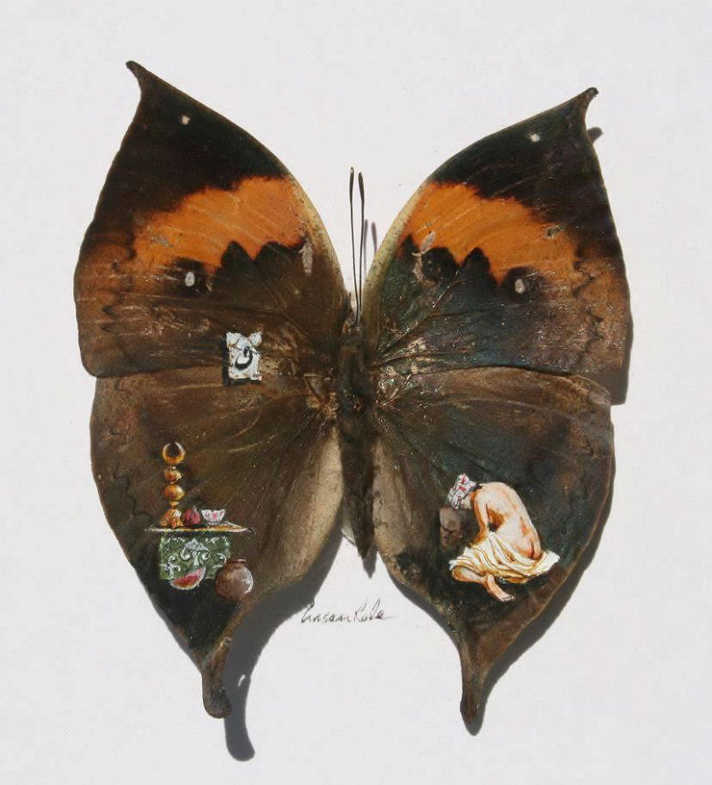Talentoso artista pinta nas asas da borboleta 08