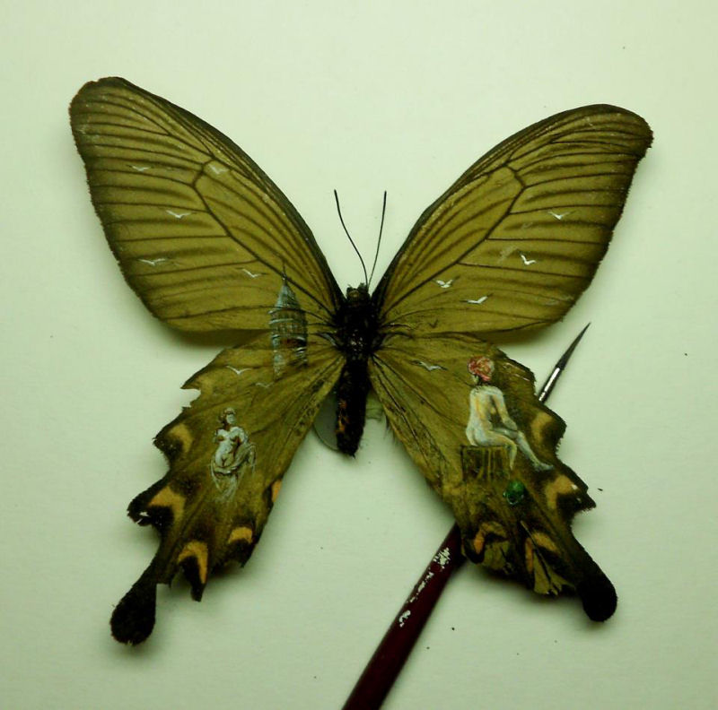 Talentoso artista pinta nas asas da borboleta 15