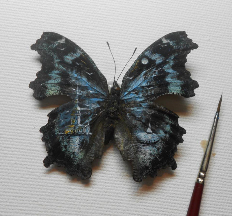 Talentoso artista pinta nas asas da borboleta 16