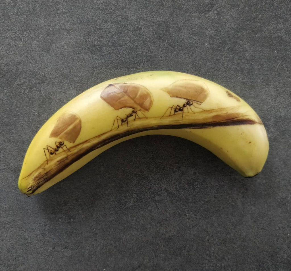 Arte incrível com banana feita partir da oxidação da casca 07