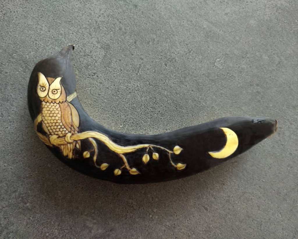 Arte incrível com banana feita partir da oxidação da casca 11