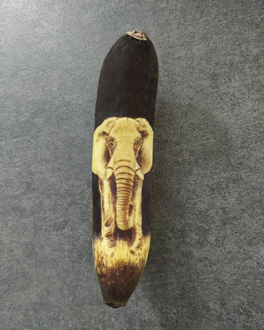 Arte incrível com banana feita partir da oxidação da casca 15