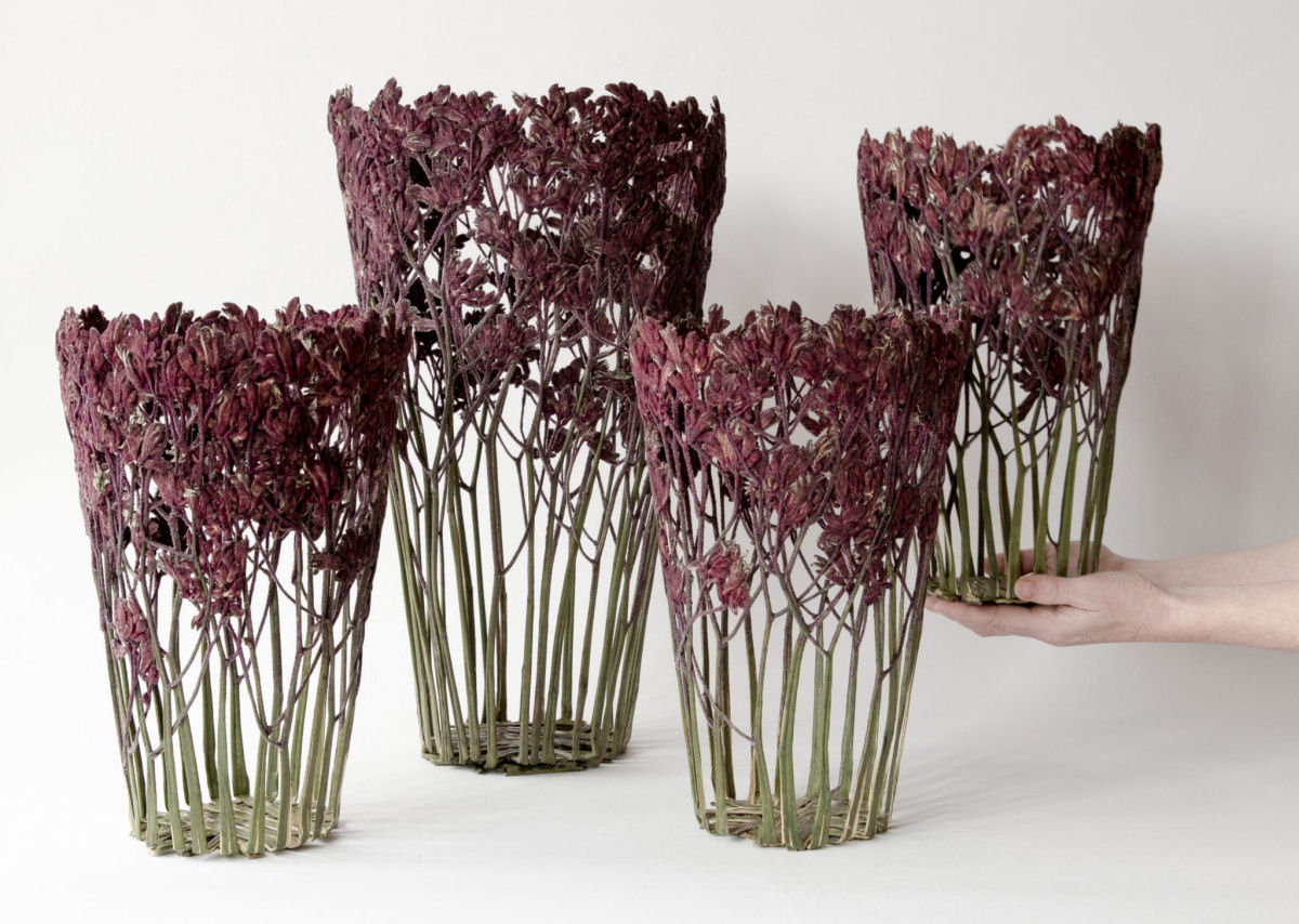 Delicados vasos escultóricos moldados com flores secas e prensadas 05