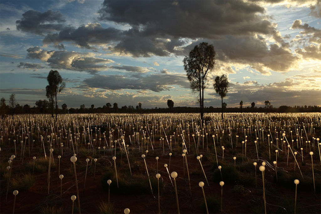 Campo de Luz: artista usa 50 mil luzes para transformar o deserto em um conto de fadas 03