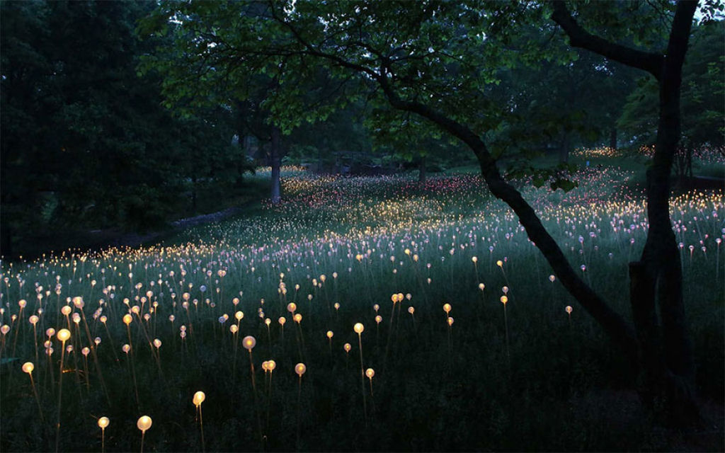 Campo de Luz: artista usa 50 mil luzes para transformar o deserto em um conto de fadas 04