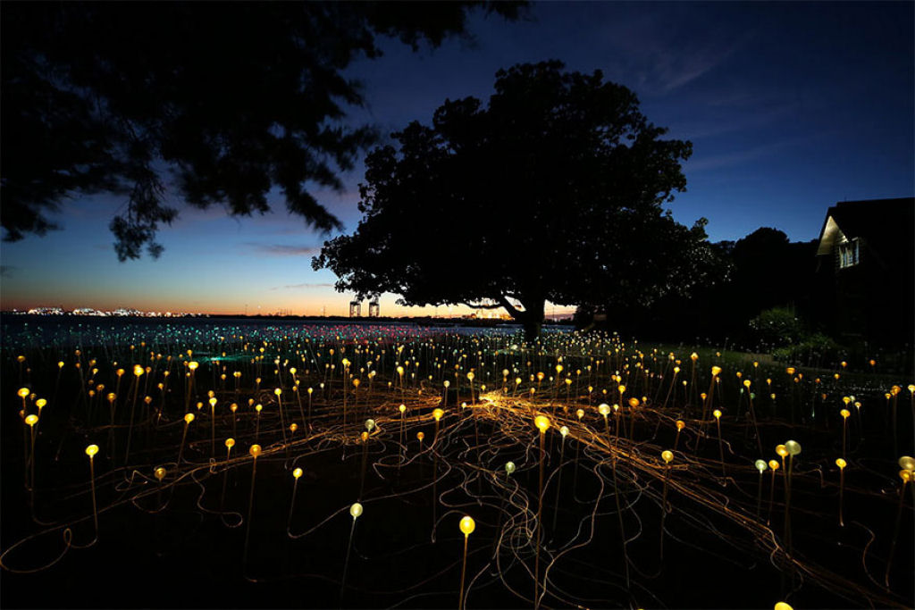 Campo de Luz: artista usa 50 mil luzes para transformar o deserto em um conto de fadas 05
